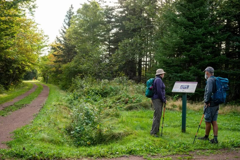 OLS Hybrid Tours ( walk + bike ) OLS Hybrid Tours ( walk + bike )